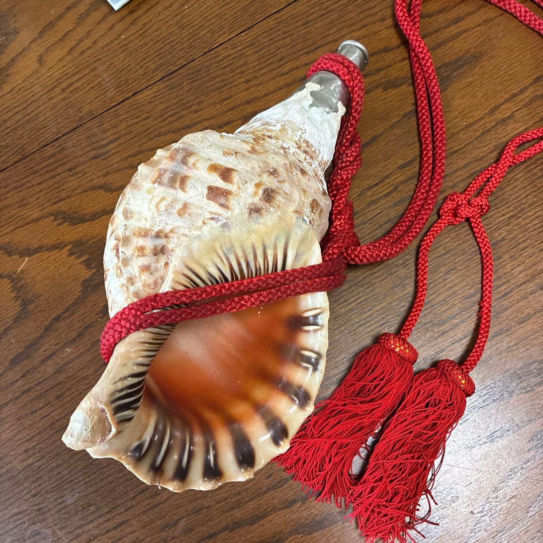 貝殻楽器 赤い紐付き 約20cm