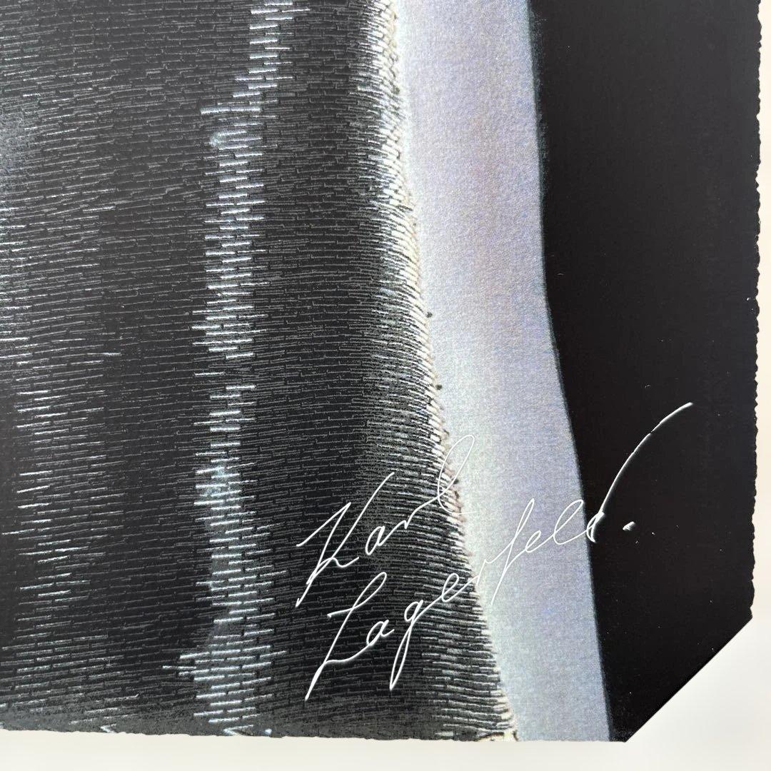 CHANEL 絵 シルクスクリーン 孔版画 - メルカリ