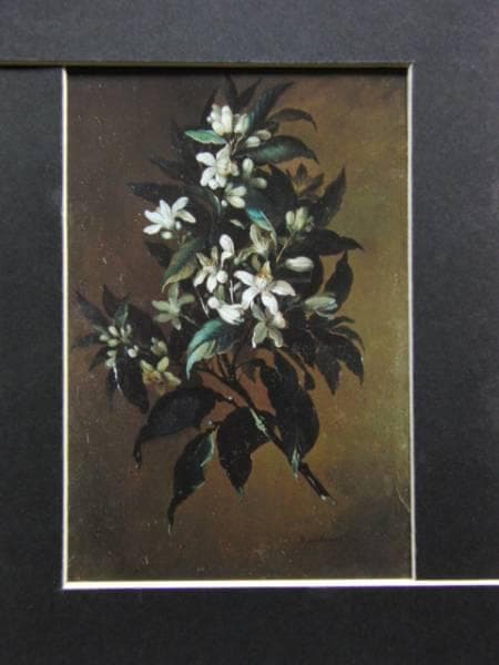 Ｂ・エスピノース、オレンジの枝、超希少、新品額付、状態良好