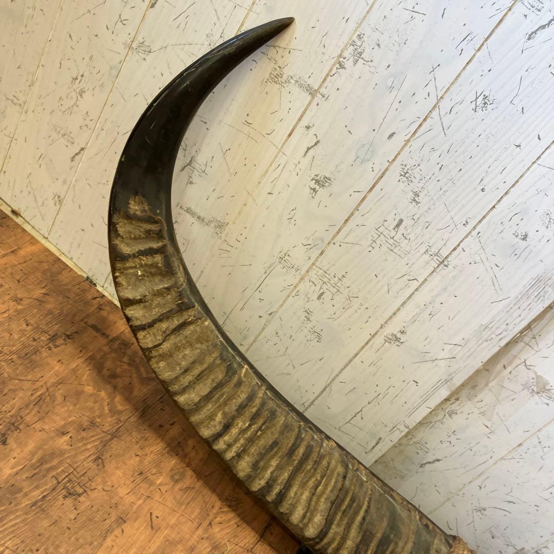 昭和レトロ 大型 水牛の角 水牛 角 置物 オブジェ インテリア レトロ