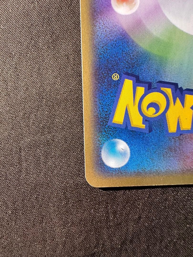 美品 ライコウ ポケパーク プレミアムファイル ブルーシート 005/009