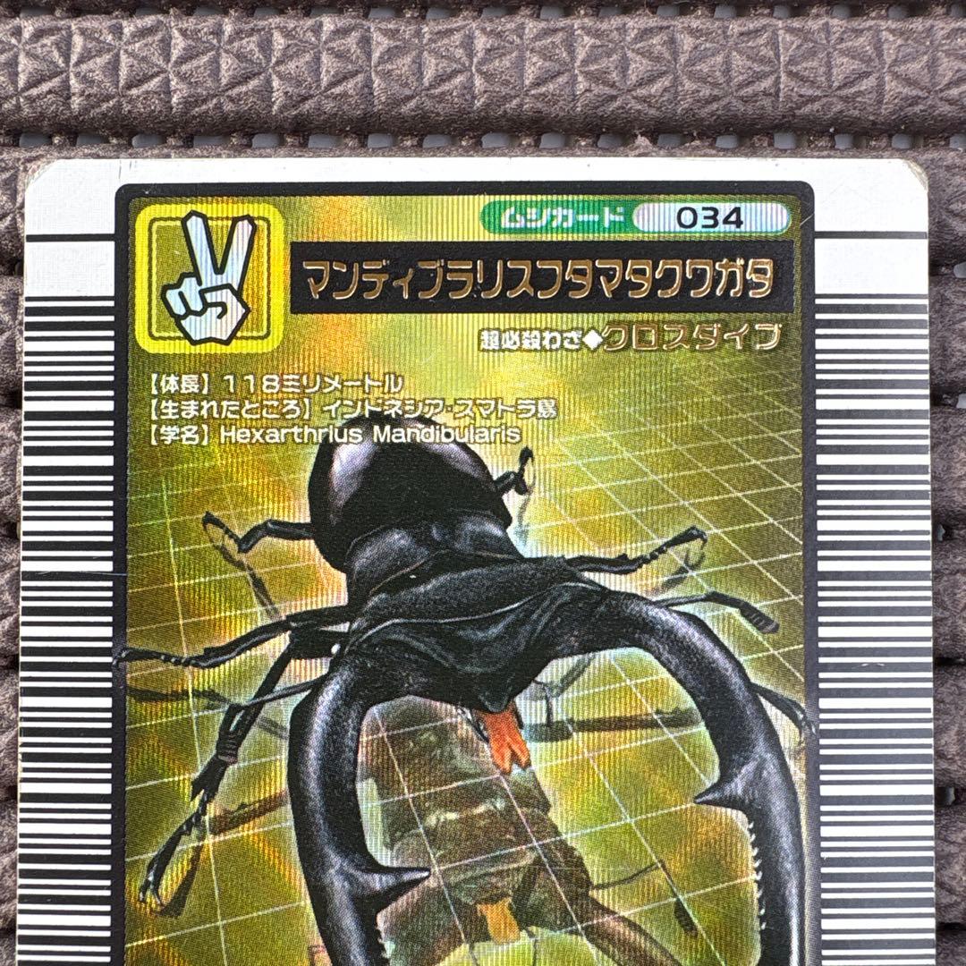 希少 マンディブラリスフタマタクワガタ 2004ファースト拡張 金