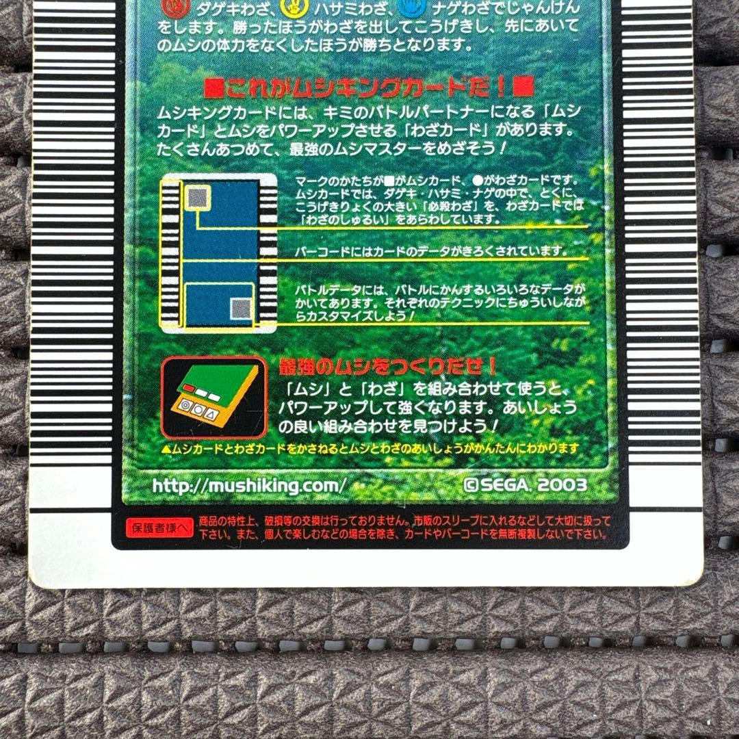 希少 マンディブラリスフタマタクワガタ 2004ファースト拡張 金