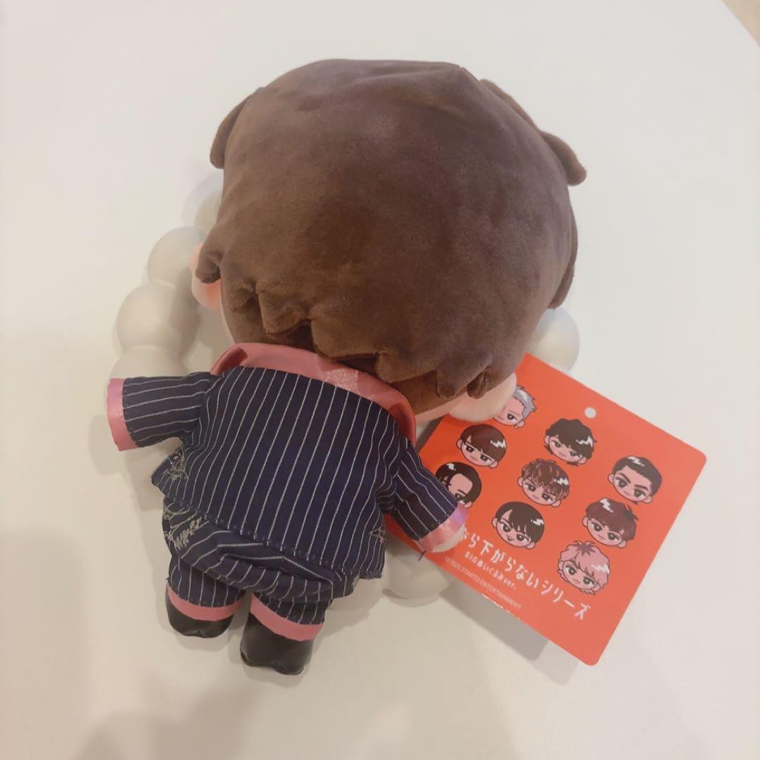 SnowMan 向井康二 すのチル Bigぬいぐるみ - メルカリ