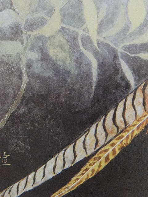 松下宣廉、【銀鶏鳥】、希少な大判額装用画集より、美品、日本人画家