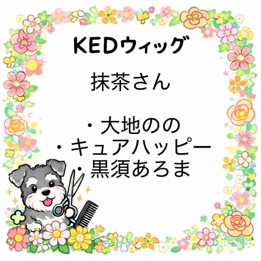 抹茶さん オーダーウィッグ