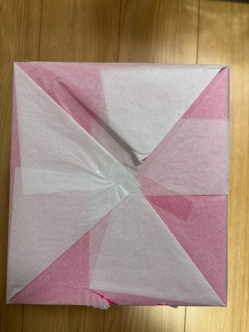 rurudo イヴ Pink_Ver. 新品未開封