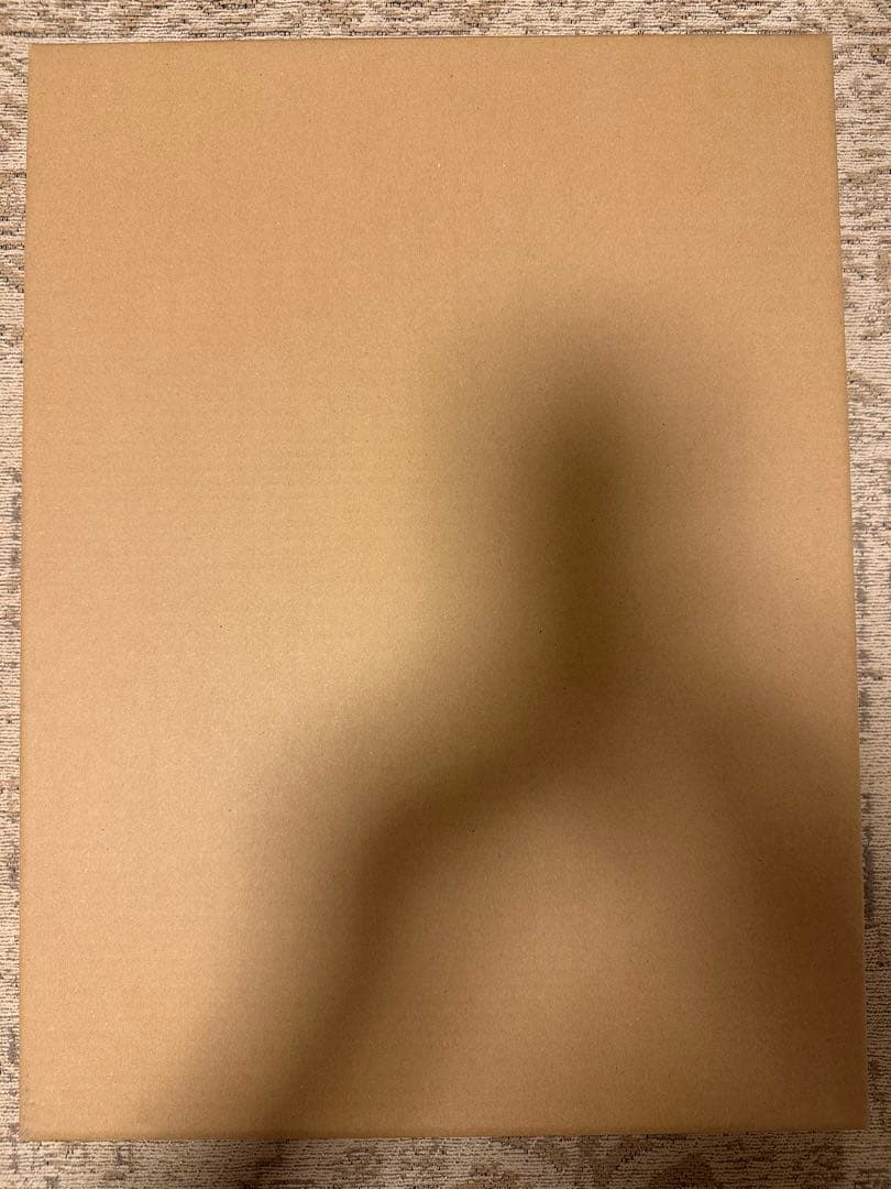 新品未使用】ZARD 坂井泉水 額縁写真 A3サイズ - メルカリ