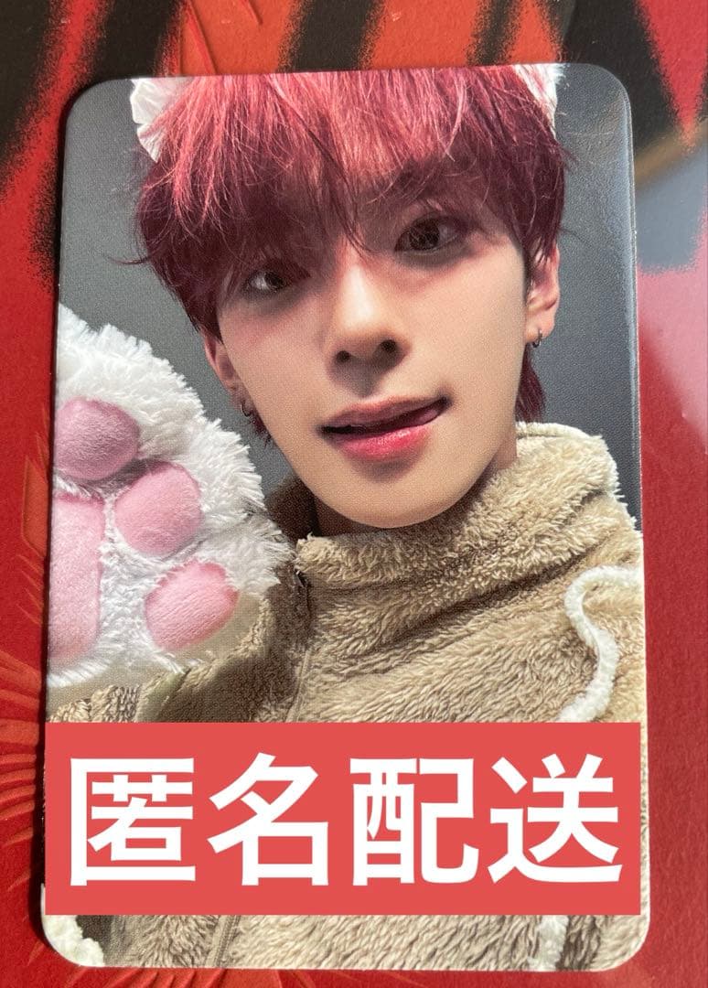 VEY カンミン beatroad ヨントン特典トレカ