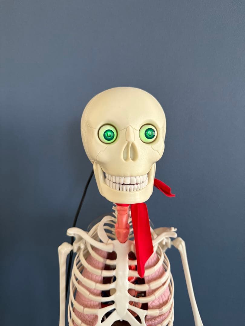 おしゃべりガイコツ ホネッキー 全70巻 - メルカリ