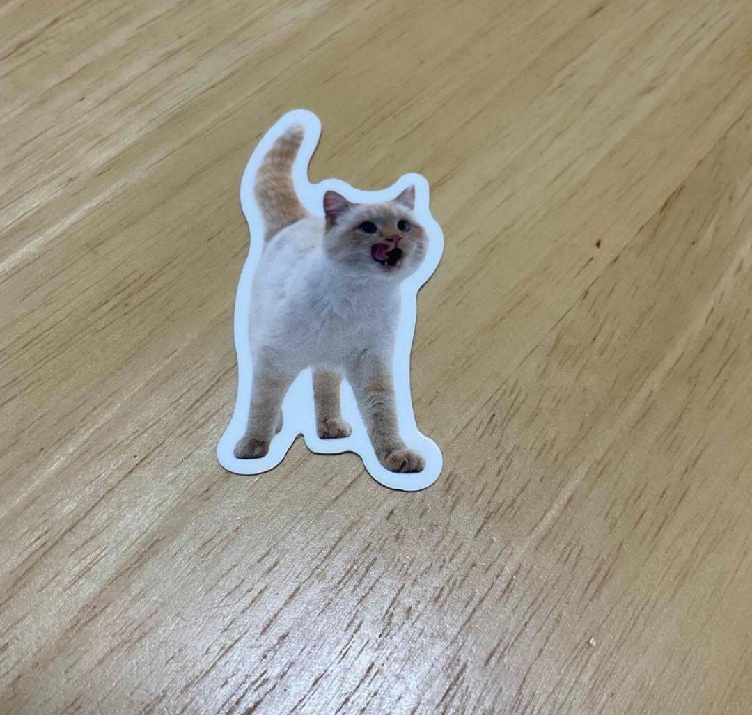 リアル猫ステッカー