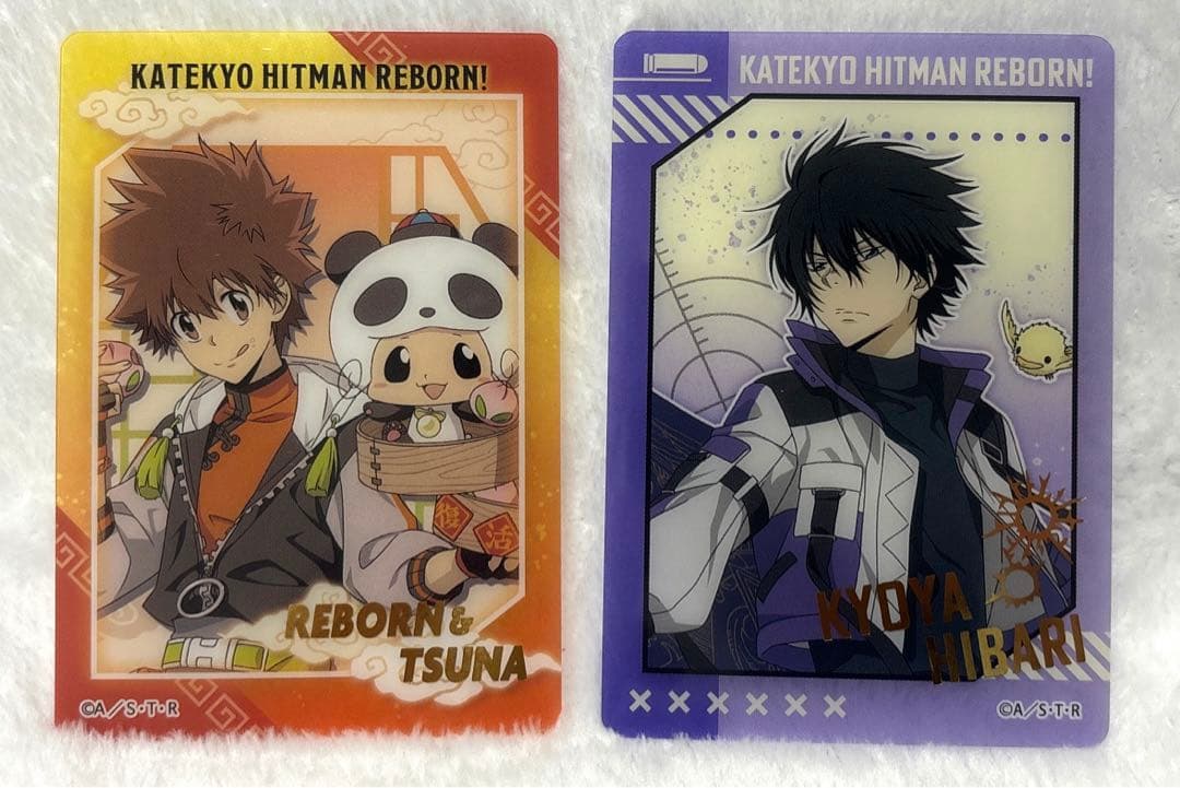 家庭教師ヒットマンREBORN ふぁぼカ 箔押し 7点セット - メルカリ