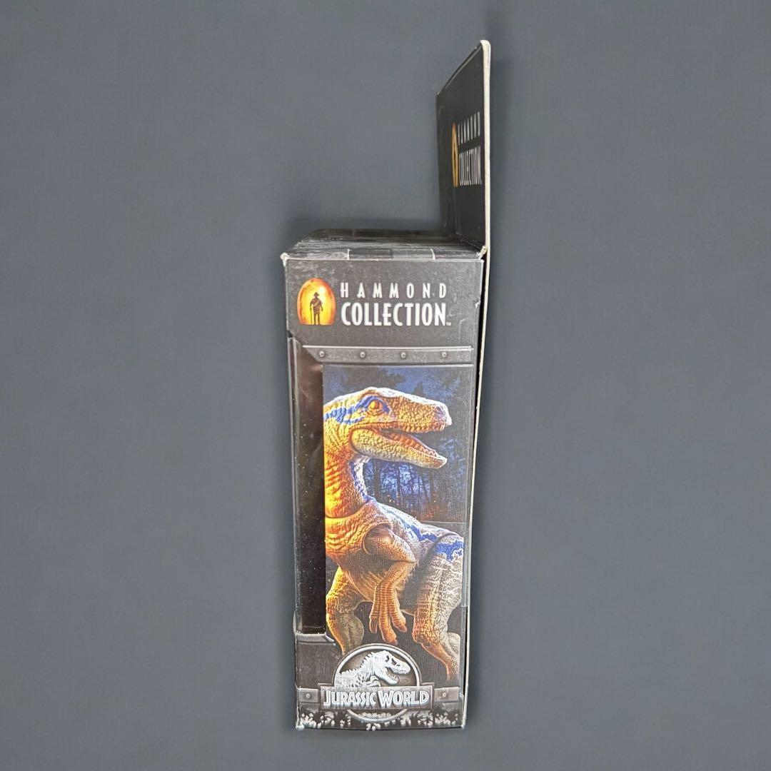 美品 折れ無ハモンドコレクション ヴェロキラプトル ブルー