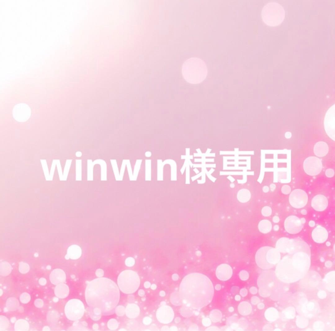トップス winwin