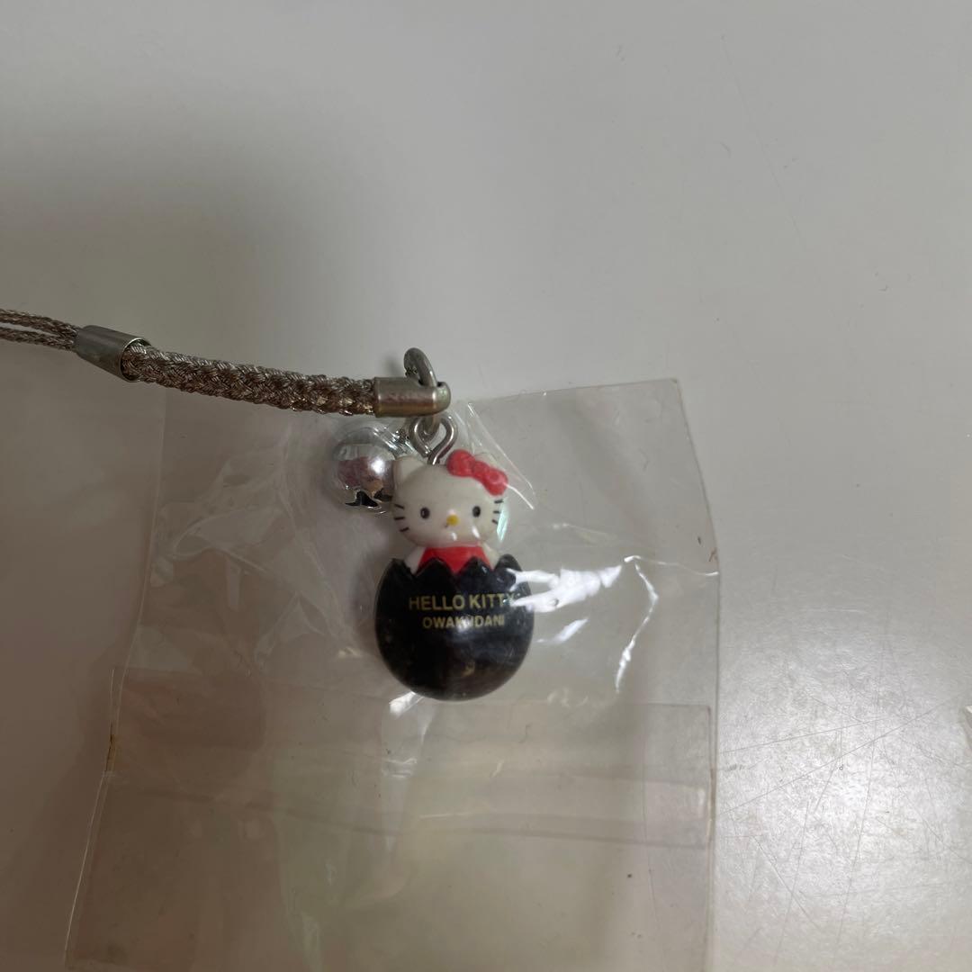 ご当地キティ 根付けキーホルダー 箱根大涌谷限定 - メルカリ
