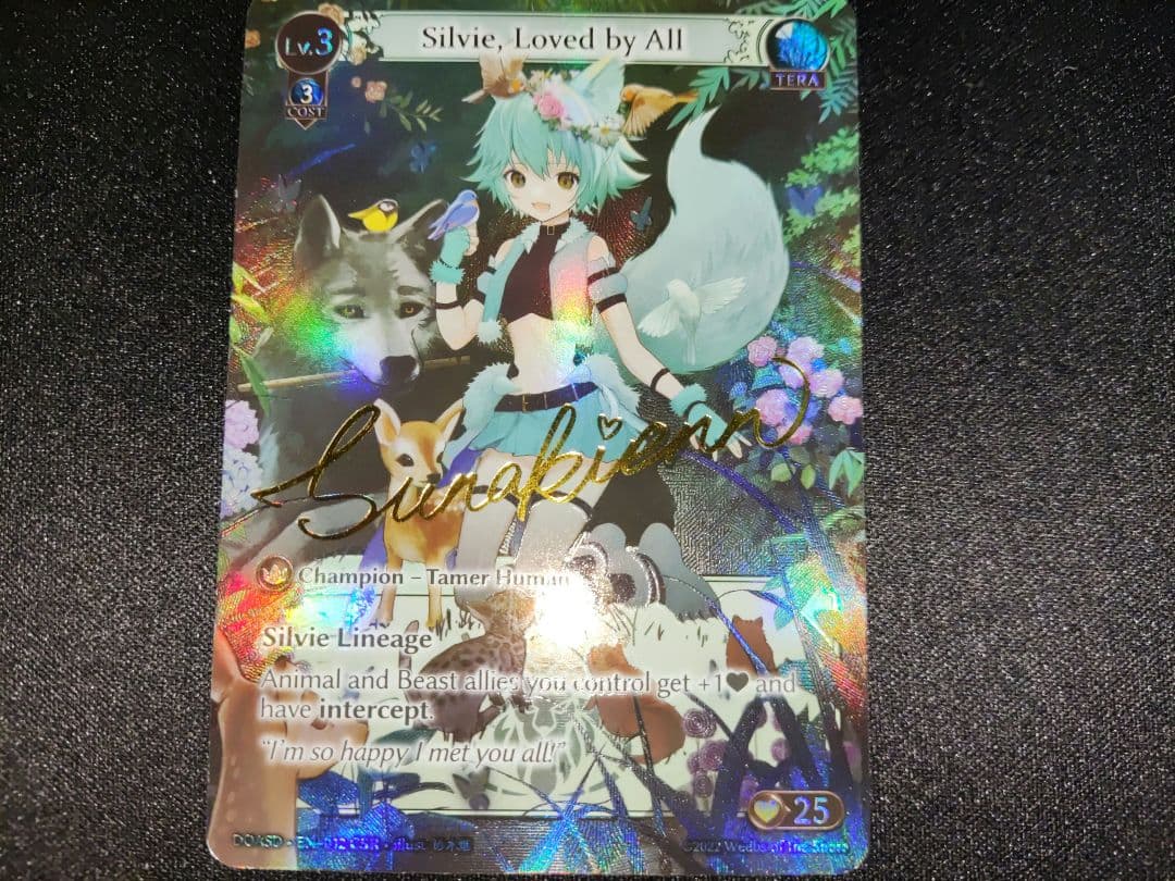 その他 grand archive Silvie Loved by All CSR