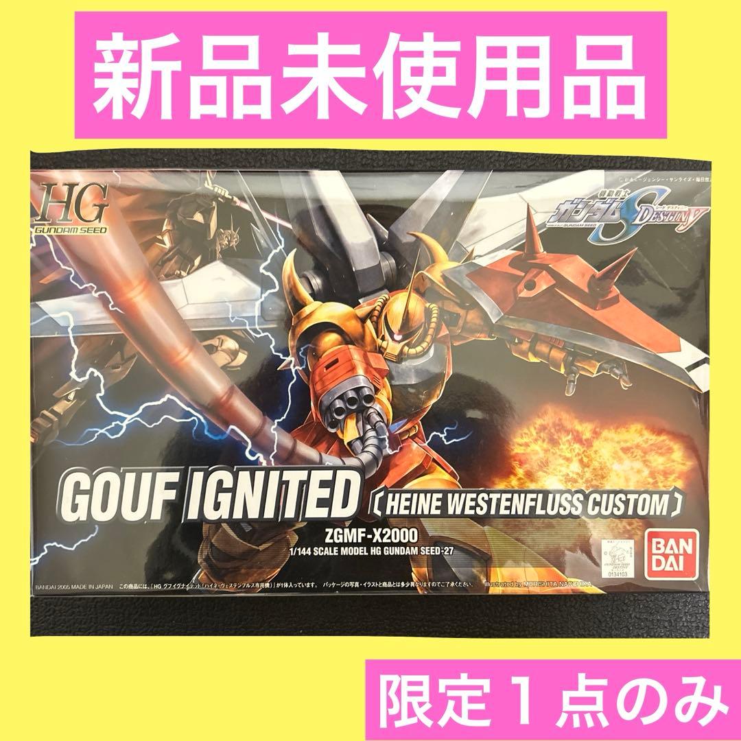 HG グフイグナイテッド(ハイネ・ヴェステンフルス専用機) - メルカリ