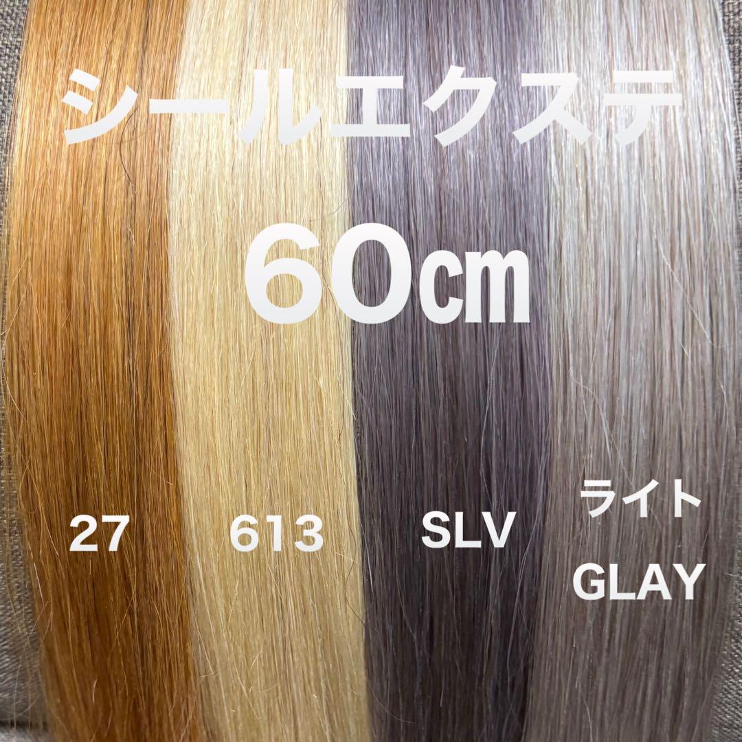 シールエクステ 60 ロングストレート　カラーエクステ