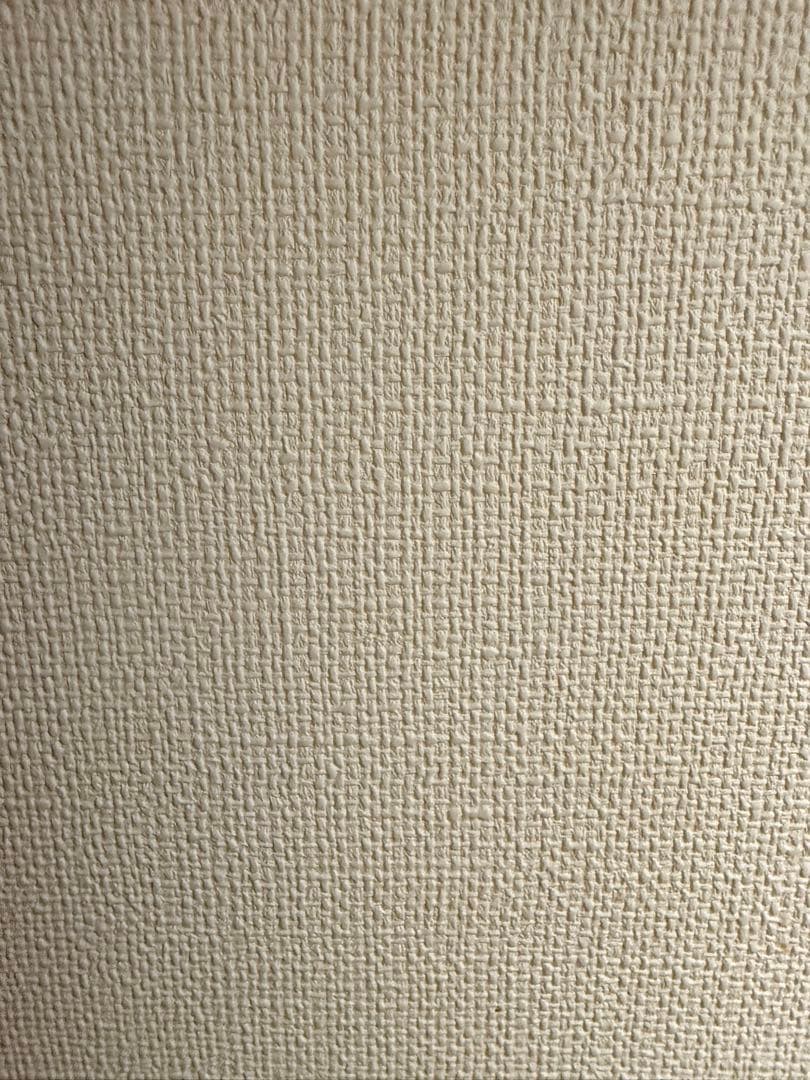 コンプレックス　カンファセット