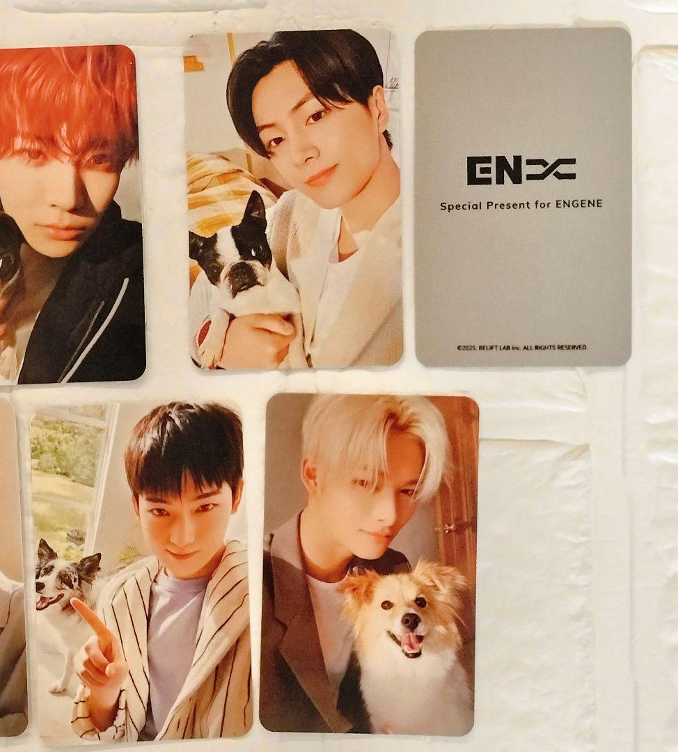 ENHYPEN アンケート トレカセット - メルカリ