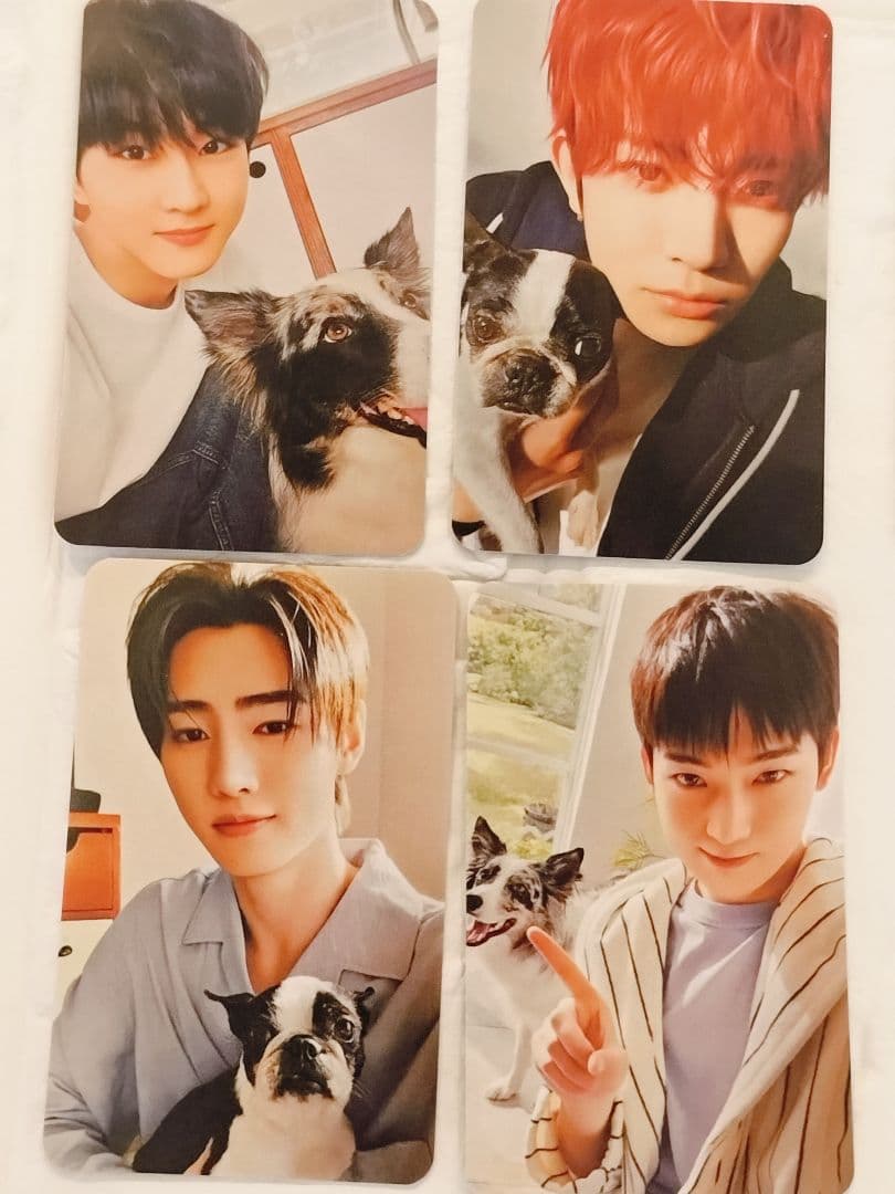 ENHYPEN アンケート トレカセット - メルカリ