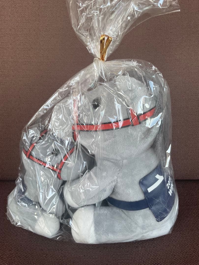 新品　ウインブライト　香港カップ　アイドルホース　セット　香港国際競走