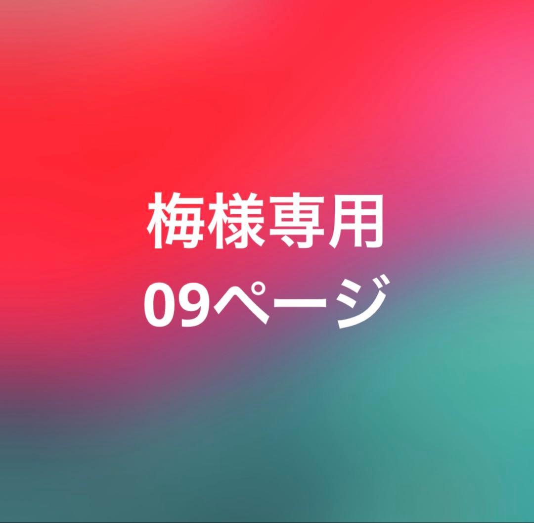 梅09ぺージ