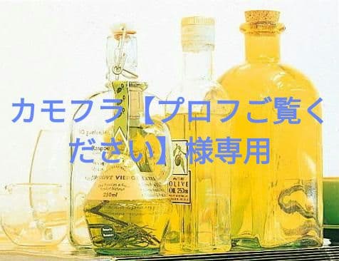 カモフラ【プロフご覧ください】