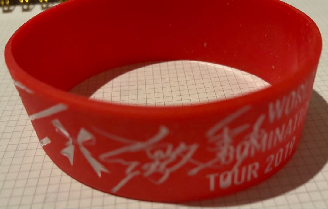 ラバーバンド WORLD DOMINATION TOUR 2019 ばんどめいど WORLD TOUR GUIDANCE】BAND-MAID WORLD DOMINATION TOUR 2019-2020