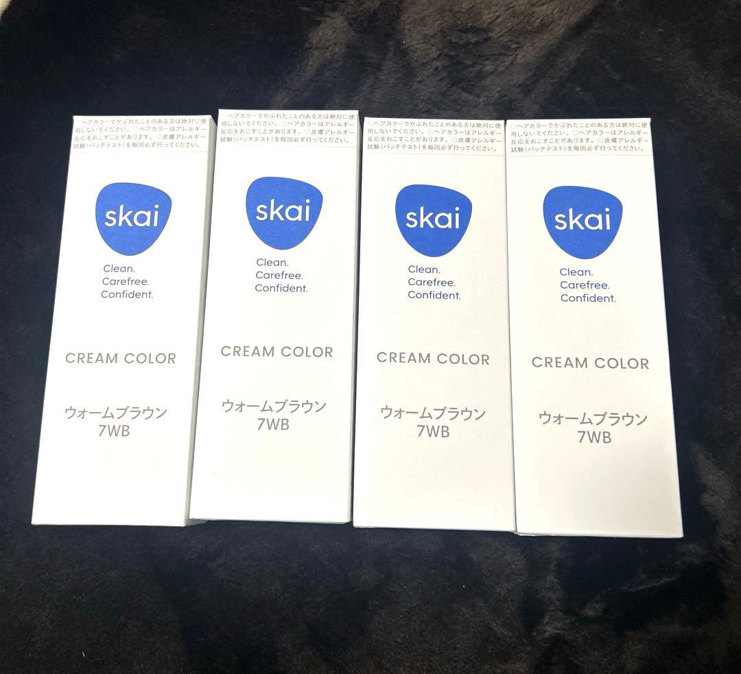 ヘアカラー永井１１セット