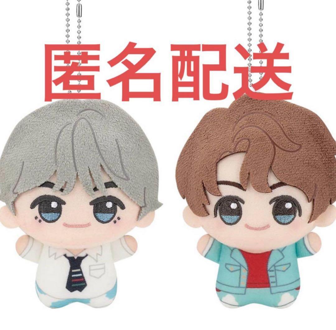 BTS TinyTAN DNA ちびぐるみ V テテ　グク　2種セット