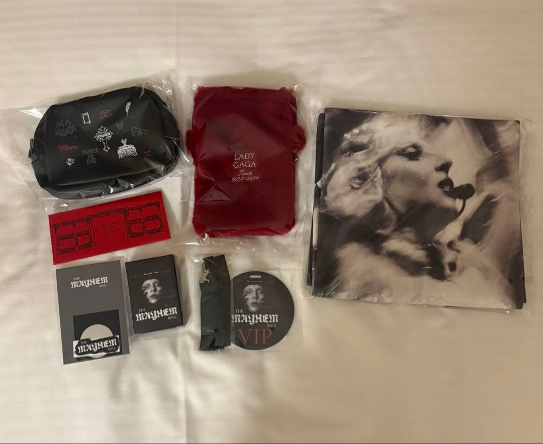 レディーガガ VIP GOLD フルセット 2026東京ドーム LADYGAGA