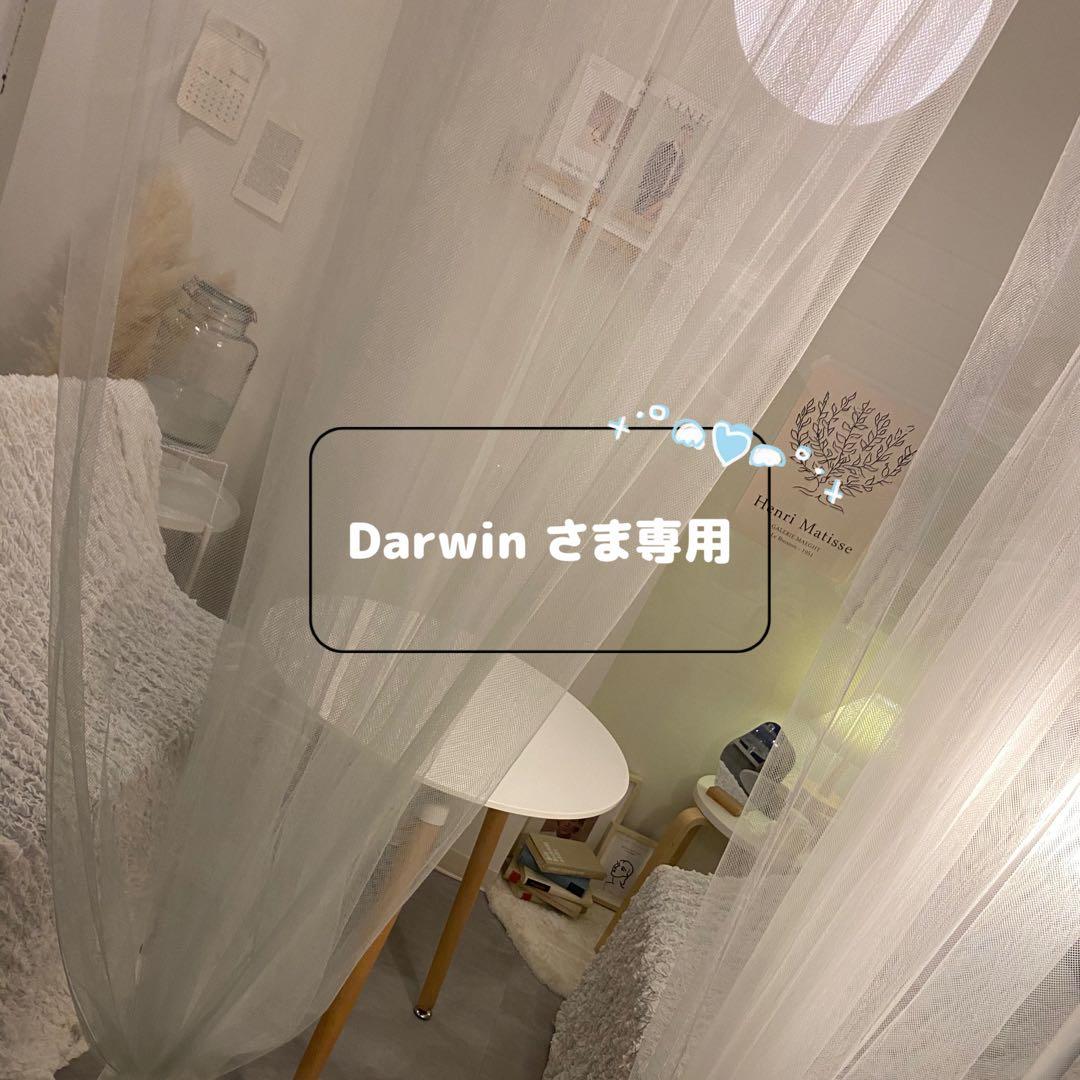 ■ Darwinさま専用／ビリヤード シャフト ヴァンテージラジアル プレデター