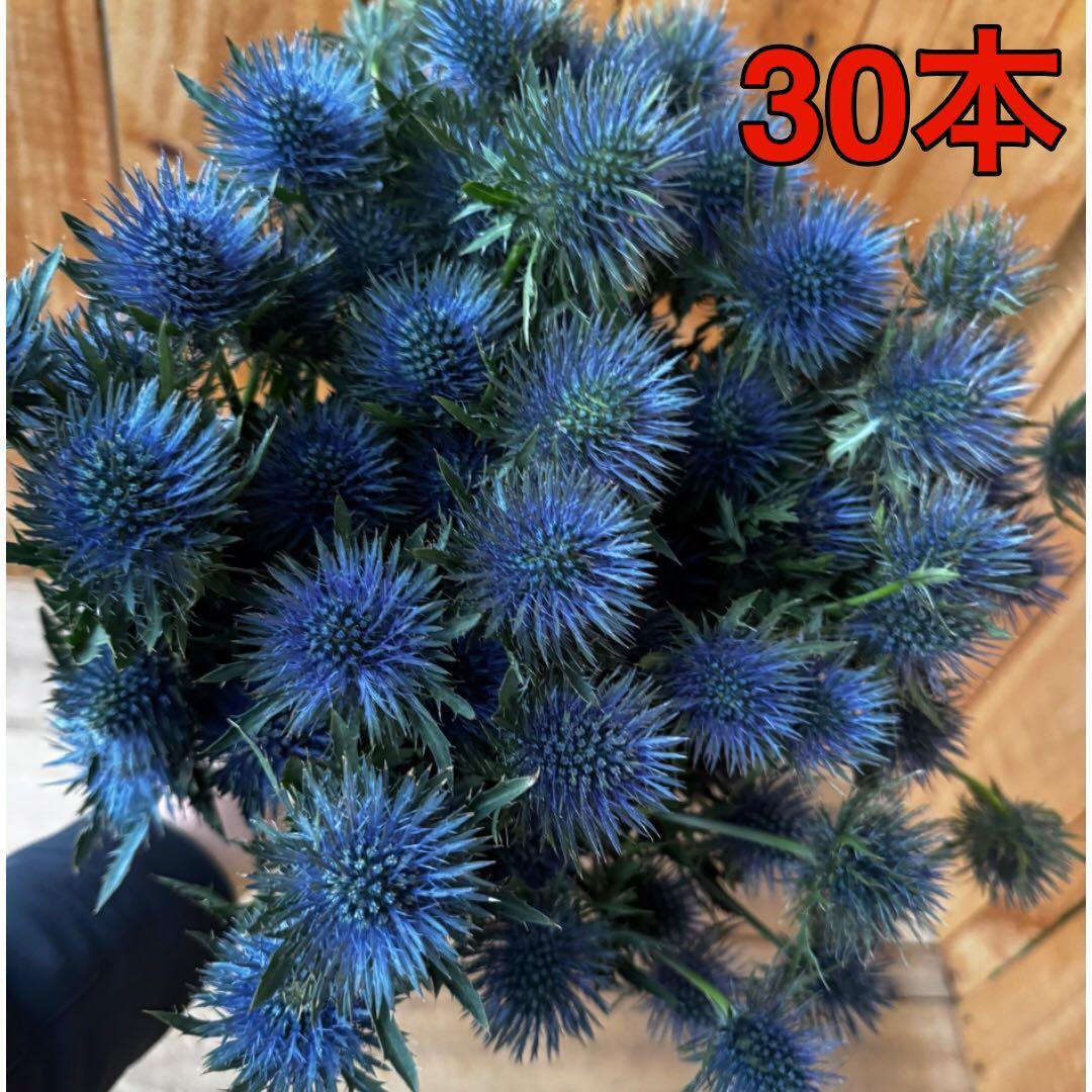 miki様 リクエスト 3点 まとめ商品