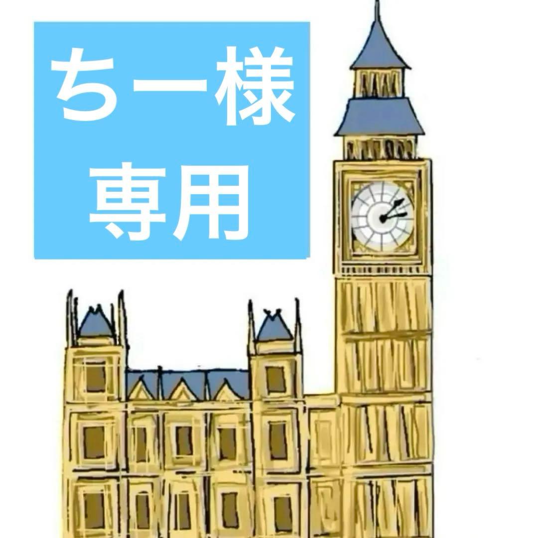 ちー　豪華版　ウェンディ風　ウィッグ