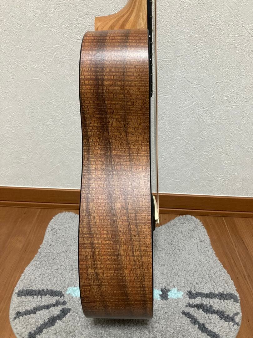 Little Martin LXK2 リトルマーチン ソフトケース付き - メルカリ