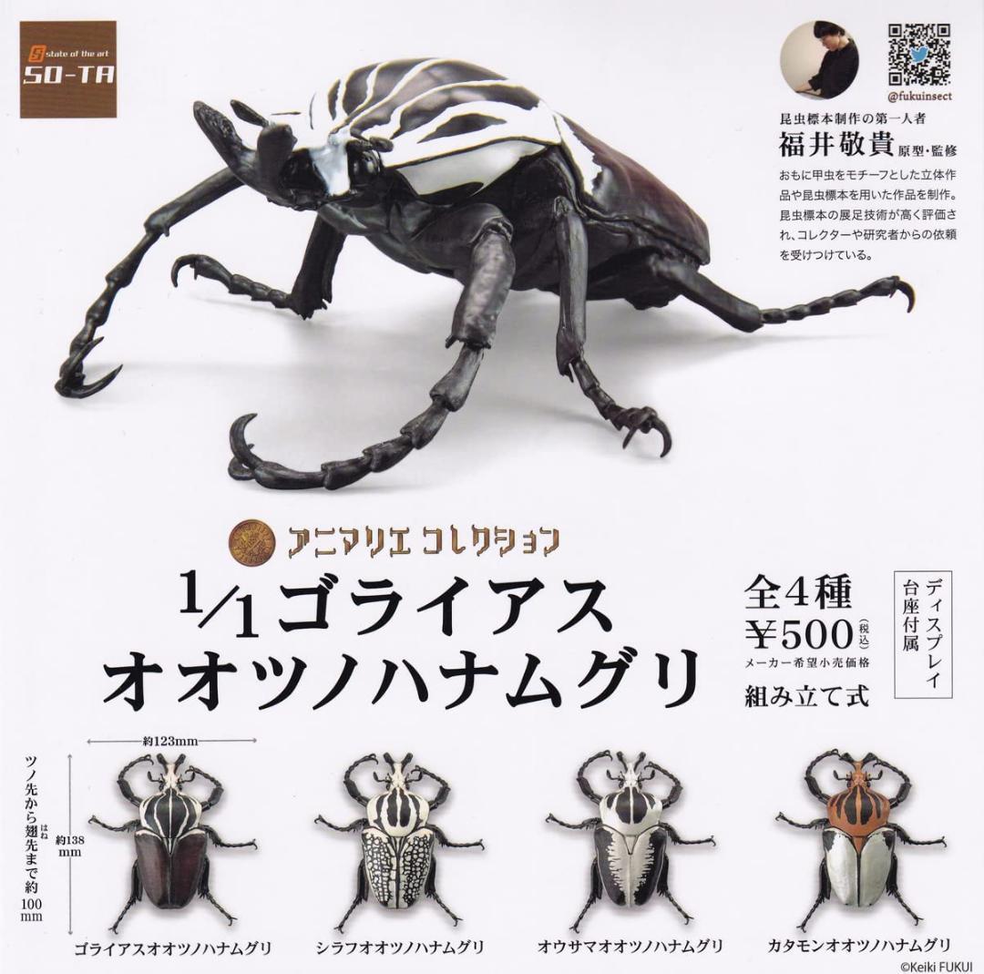 1/1 ゴライアスオオツノハナムグリ 全4種類セット【新品】SO-TA - メルカリ