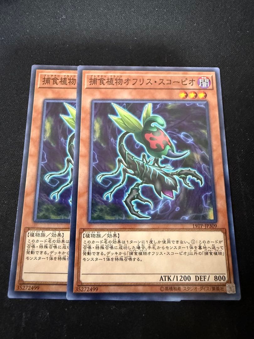 遊戯王 捕食植物オフリス・スコーピオ ノーマル2枚セット - メルカリ
