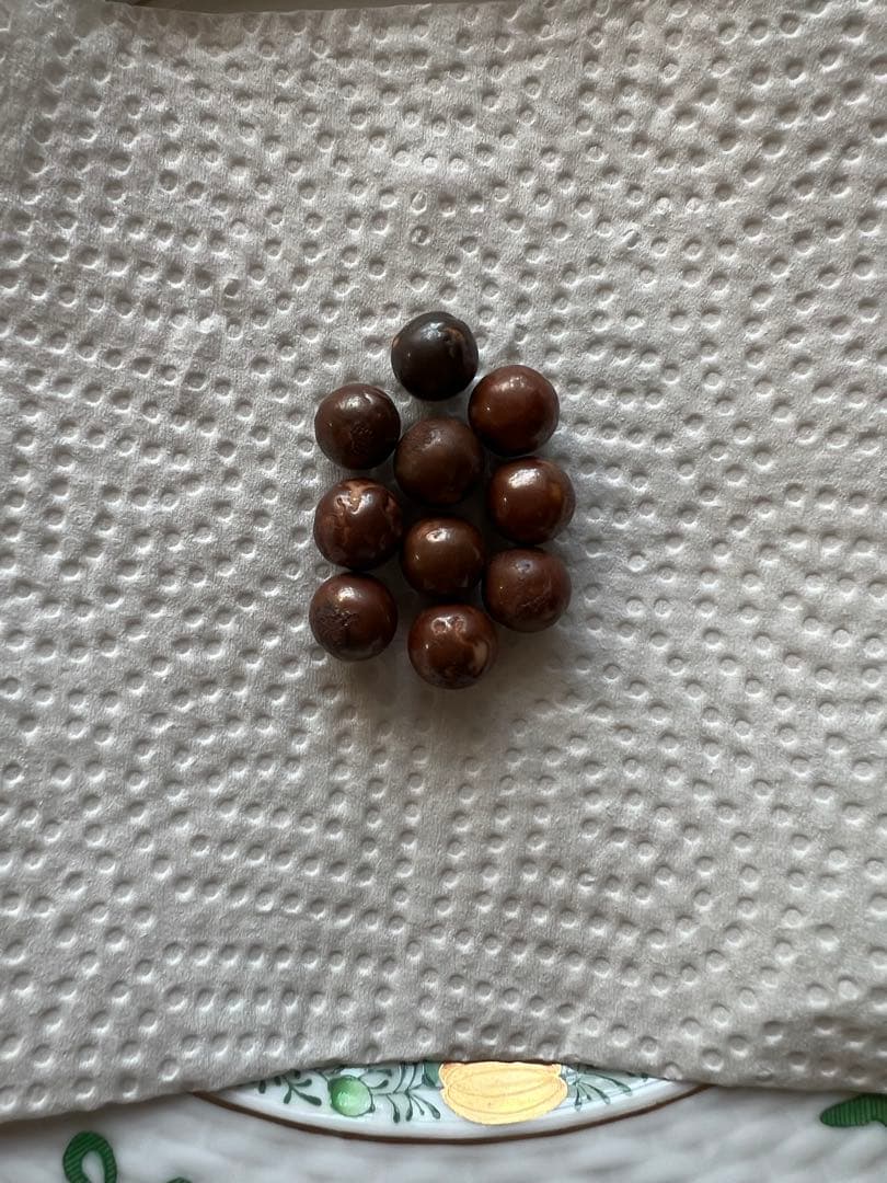 ワールドレップサービス　アースボール10粒　ブラウン