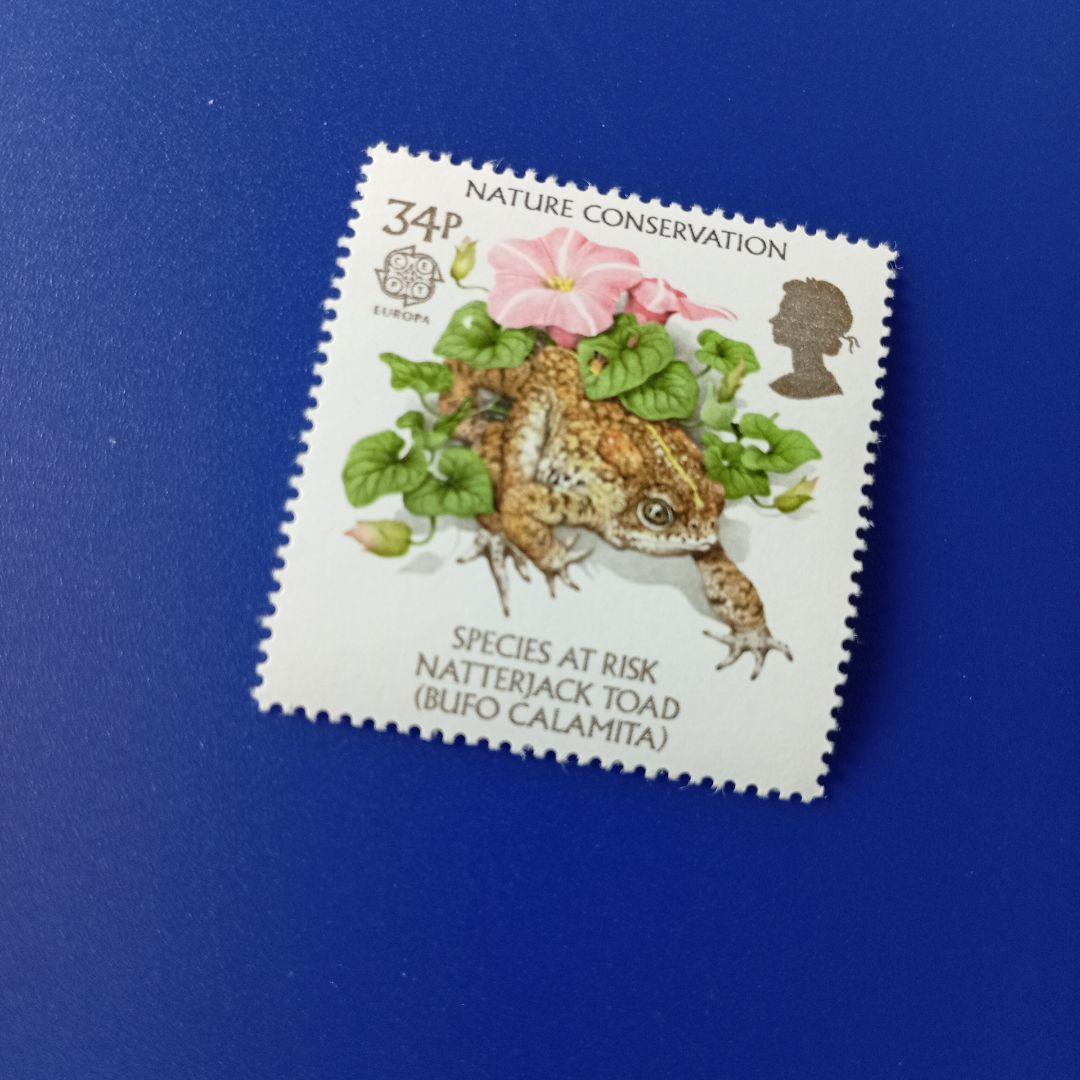 9602 外国切手 イギリス 自然保護 絶滅危惧種 動物 4V - メルカリ