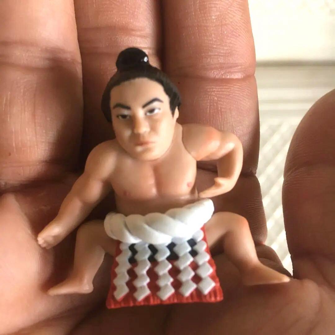 千代のフチ縁 第58代横綱千代の富士フィギュア 力士人形 相撲 - メルカリ