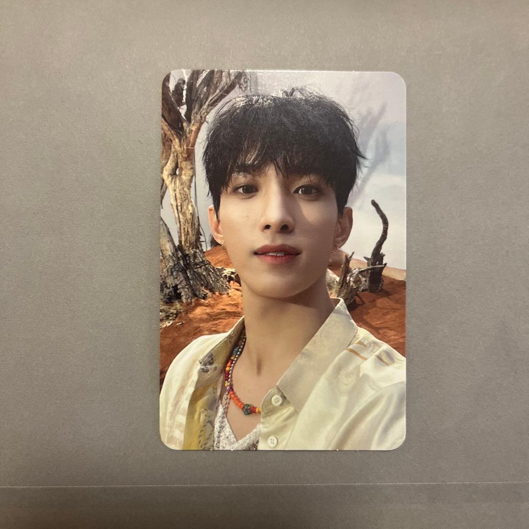 SEVENTEEN ドギョム DK セット トレカ 鳥貴族 ストロータグ - メルカリ