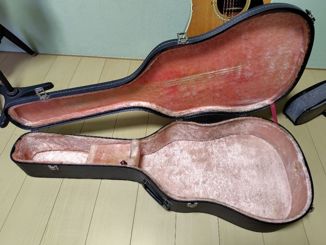 寺田楽器 ダブルホールギター WSF30 - メルカリ