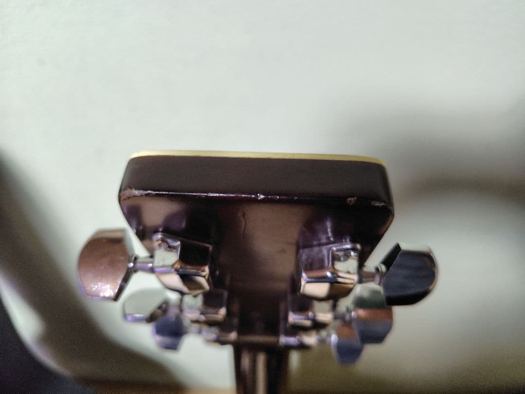 寺田楽器 ダブルホールギター WSF30 - メルカリ