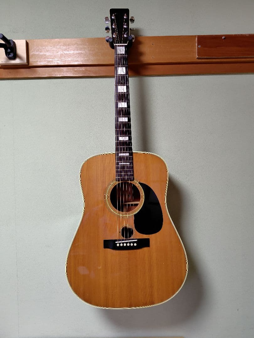 寺田楽器 ダブルホールギター WSF30 - メルカリ