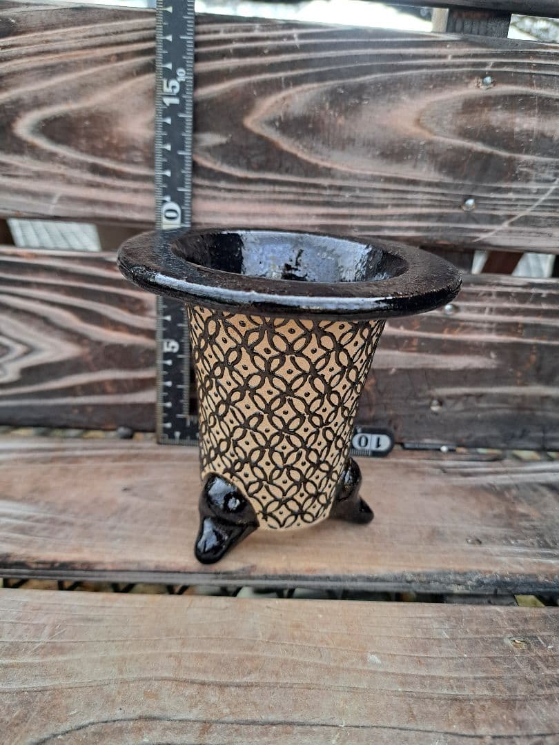 錦鉢　万年青　オモト　長生蘭　風蘭　古典植物　植木　観葉植物　インテリア　園芸