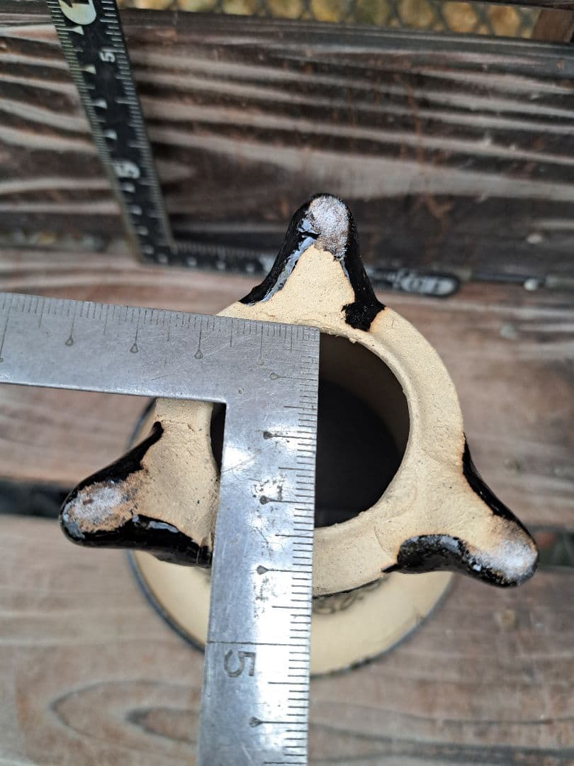 錦鉢 万年青 オモト 長生蘭 風蘭 古典植物 植木 観葉植物 インテリア 園芸