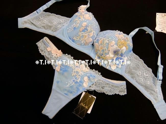 セール　サルート/のだめカンタービレ　E65＆ソングショーツM　SX　91