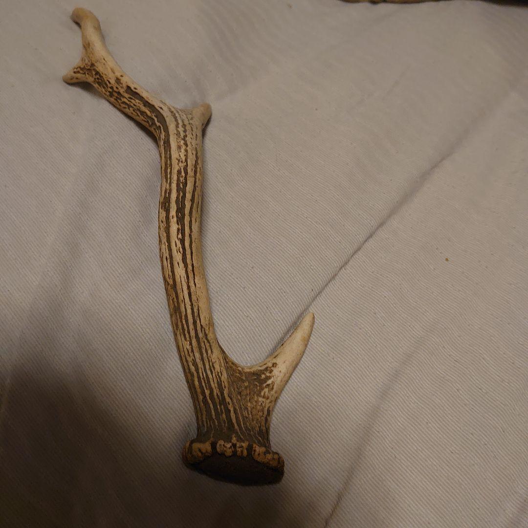 5本 Amazon.co.jp: ダンロップ(DUNLOP) スリクソン ZX5 アイアンセット 6本