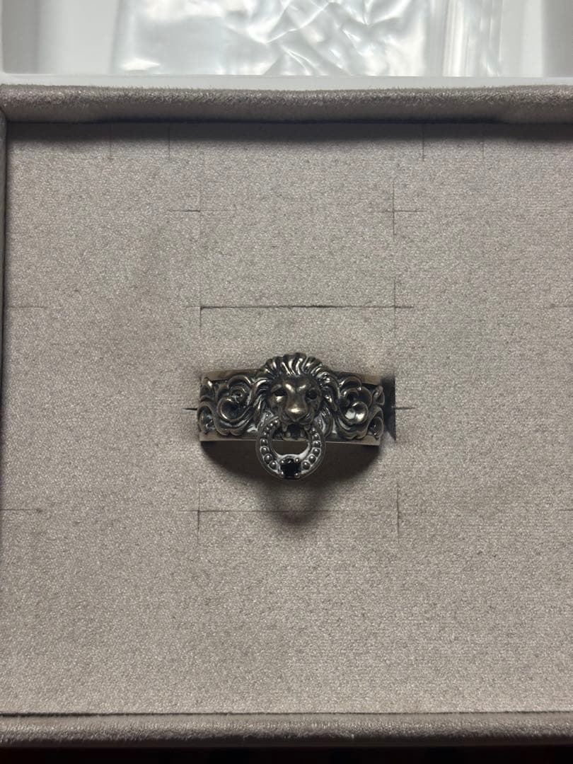 ジャスティンデイビス ライオンキーパーリング 15号